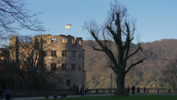 Der Innenhof Des Heidelberger Schlosses — Stockvideo
