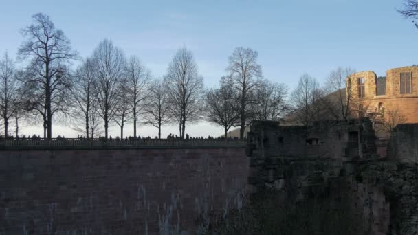 海德堡城堡的庭院 — 图库视频影像