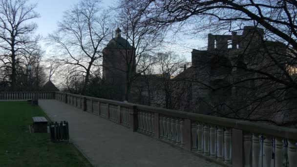 Giardino Hortus Palatinus Castello Heidelberg — Video Stock