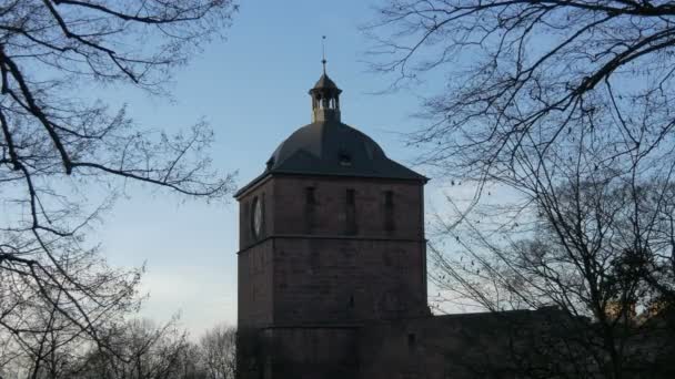 Klokkentoren Van Kasteel Heidelberg — Stockvideo