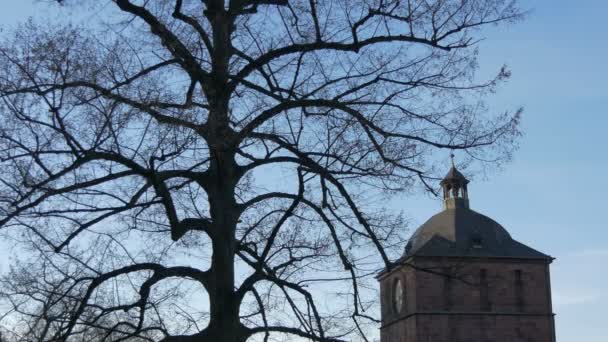 Topo Torre Castelo Heidelberg — Vídeo de Stock