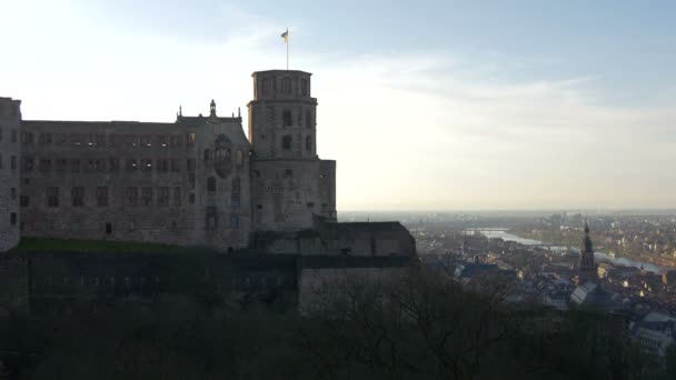 Zamek Heidelberg Obserwuje Miasto — Wideo stockowe