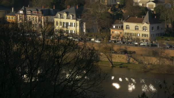 Rzeka Neckar Domy Heidelberg — Wideo stockowe