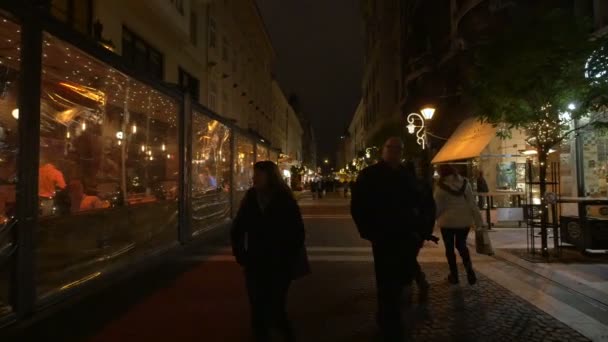 Folk Går Gaten Natten – stockvideo