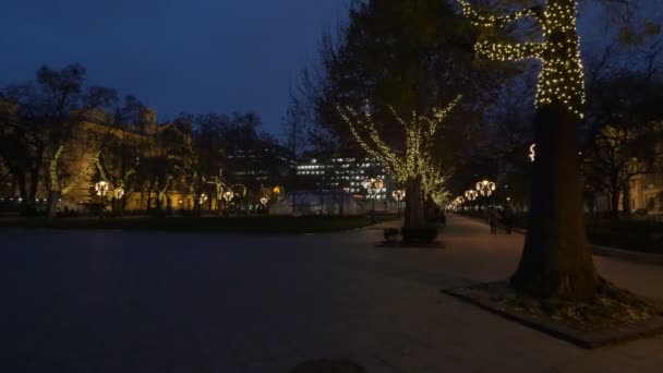 Parc Sur Noël Nuit — Video