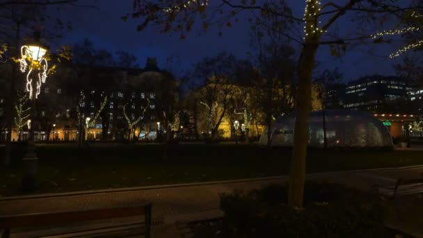 Nattopplyst Park Vinteren Budapest Ungarn – stockvideo
