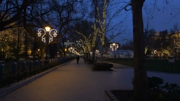 Menschen Die Weihnachten Nachts Einer Gasse Spazieren Gehen — Stockvideo