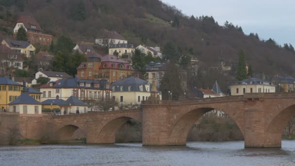 Die Alte Brücke Heidelberg — Stockvideo