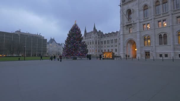 Árvore Natal Parlamento Budapeste — Vídeo de Stock
