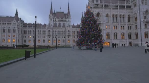 Kerstboom Voor Het Parlement Van Boedapest — Stockvideo