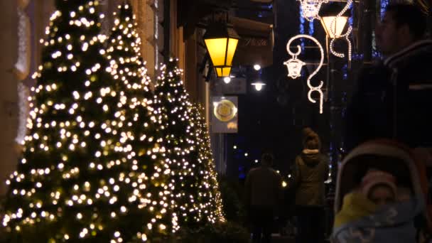 Promenade Près Des Arbres Noël Nuit — Video