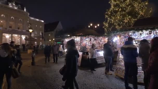 Bezoekers Kerstmarkt — Stockvideo