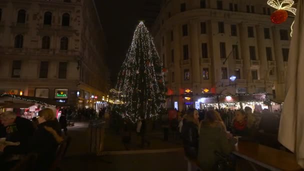 Vorosmarty Square Boże Narodzenie Budapeszcie — Wideo stockowe