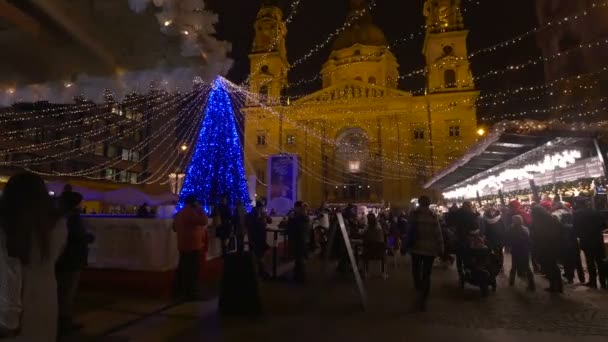 Рождественский Рынок Будапеште — стоковое видео