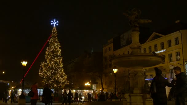 Weihnachtsbaum Der Nacht Bratislava — Stockvideo