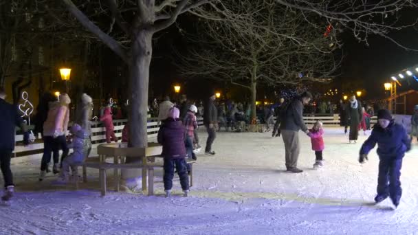 People Having Fun Ice Rink — Stock Video