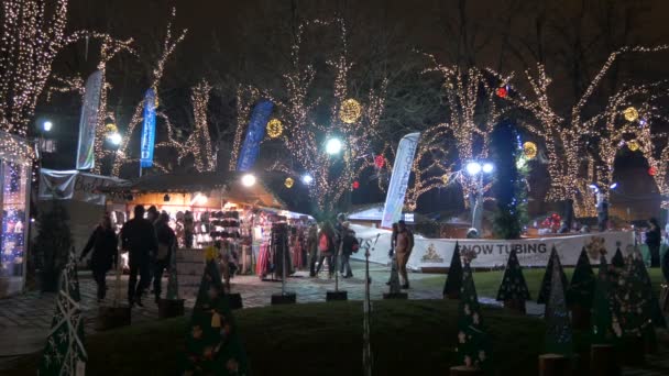 Människor Går Varoshaza Park Julen — Stockvideo