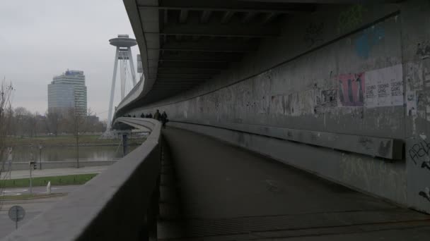 人们在桥的人行横道上行走 — 图库视频影像