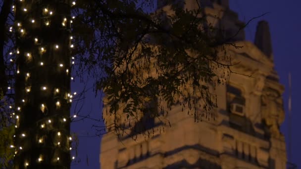 축제의 조명을 나무를 가까이 — 비디오