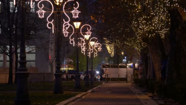 Steegje Met Kerstversiering Verlichte Bomen — Stockvideo