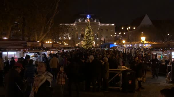 Χριστουγεννιάτικη Έκθεση Πολλούς Ανθρώπους — Αρχείο Βίντεο