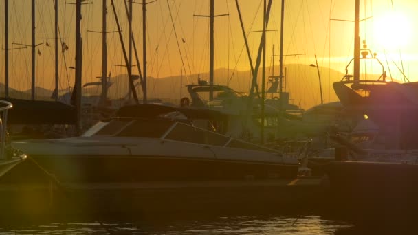 Yachter Förankrade Hamn Vid Solnedgången — Stockvideo