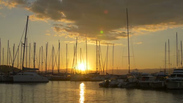 Yachter Förankrade Hamn Vid Solnedgången — Stockvideo