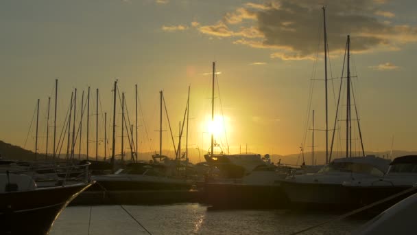 Saint Tropez Hamn Sedd Vid Solnedgången — Stockvideo