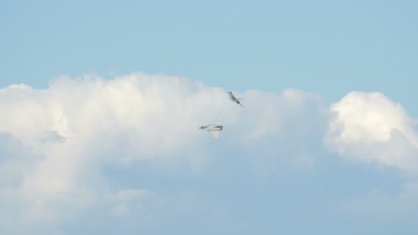 Dos Aviones Militares Volando Cielo — Vídeos de Stock