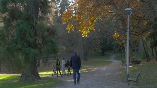 Pessoas Nos Becos Parque — Vídeo de Stock