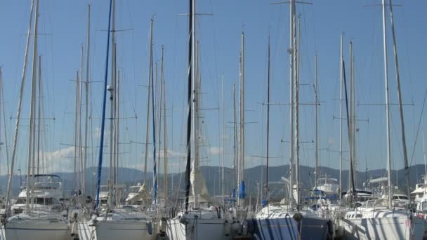 在港口悬挂帆船和桅杆 — 图库视频影像