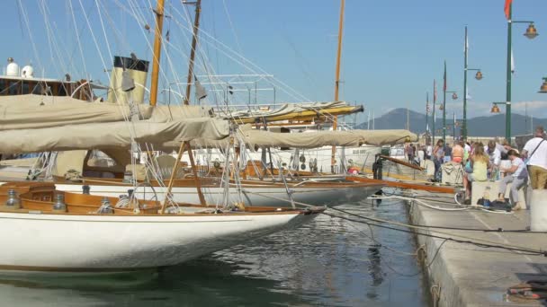 Segelbåtar Förankrade Port Saint Tropez — Stockvideo