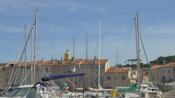 Σκάφος Masts Στο Λιμάνι Του Saint Tropez — Αρχείο Βίντεο