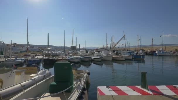 Barcos Atracados Porto Saint Tropez — Vídeo de Stock