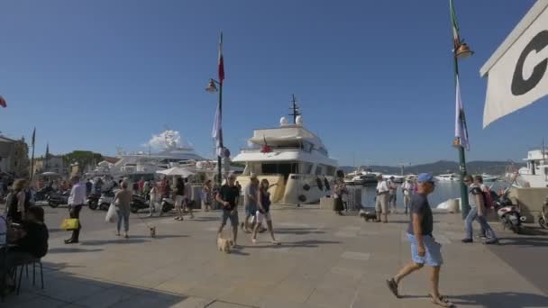 Turistas Caminando Quai Suffren — Vídeo de stock