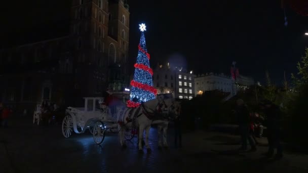 Pferdekutschen Weihnachten Krakau — Stockvideo