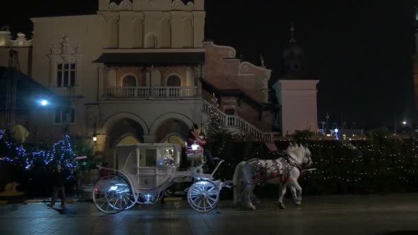 Cloth Hall Seen Night Krakow — Stock Video