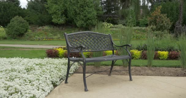 Iron Bench Flower Beds — Stock Video