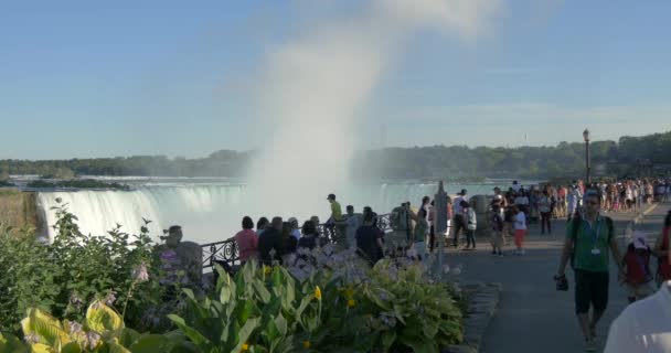 Niagara Şelalesi Kanada Turistler — Stok video