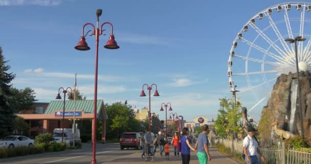 Blick Auf Clifton Hill Und Dinosaur Adventure Golf — Stockvideo