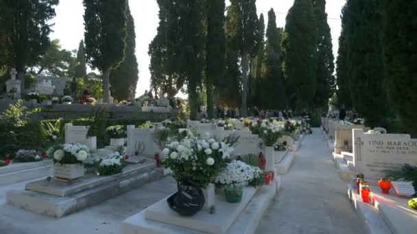 Гробницы Кладбище — стоковое видео