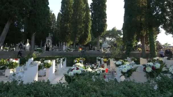 Mezarlıktaki Mezar Taşları — Stok video