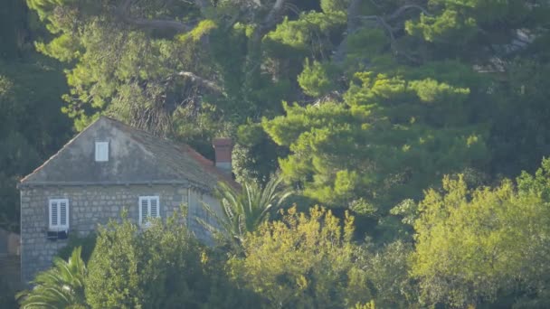 Casa Pietra Tra Gli Alberi — Video Stock