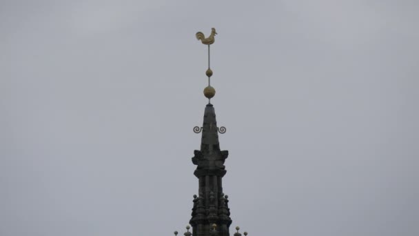 Adorno Gallo Parte Superior Catedral Saint Gile — Vídeos de Stock