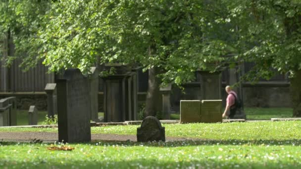 緑の墓地にある墓碑 — ストック動画