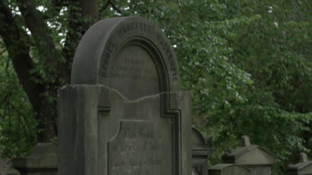 墓石の上 旅行のコンセプト — ストック動画