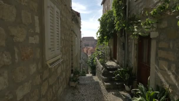 Pflanzen Bei Den Gebäuden Einer Gasse — Stockvideo