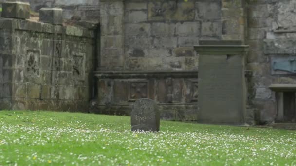 緑の草の中の小さな墓石 — ストック動画