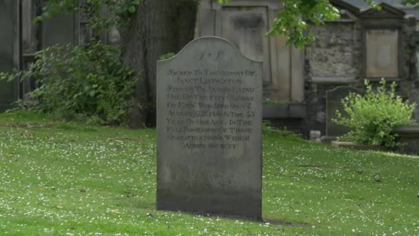 ジャネット リビングストンの墓石 — ストック動画