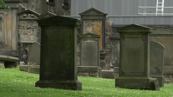 墓地にある古代の墓石 — ストック動画